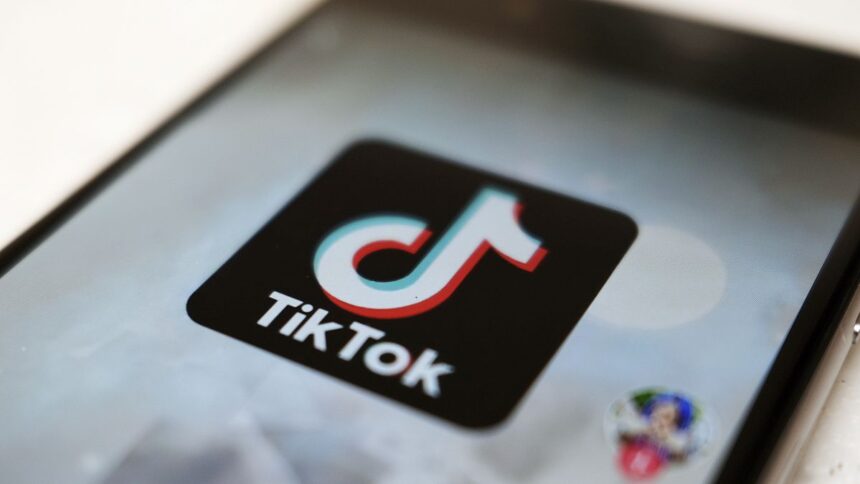 TikTok, EU 선거 앞두고 '여성혐오와 부정적인 고정관념 조장'