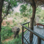 Singita Boulders Lodge