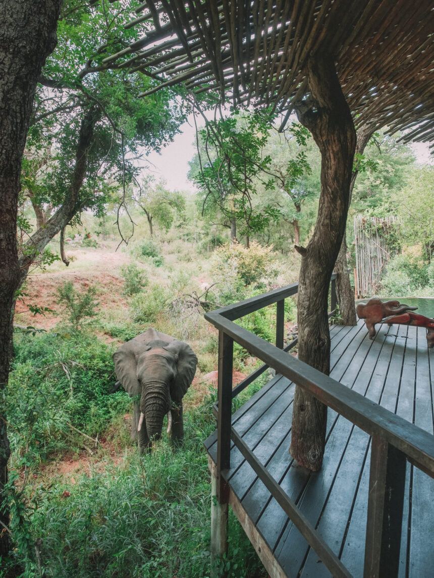 Singita Boulders Lodge