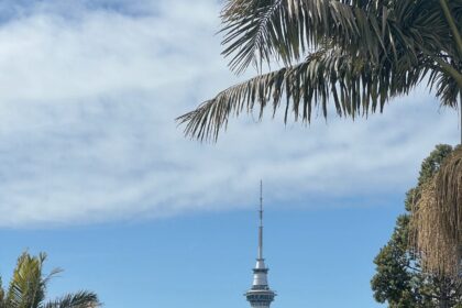 Auckland City Guide