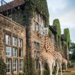 Giraffe Manor Kenya