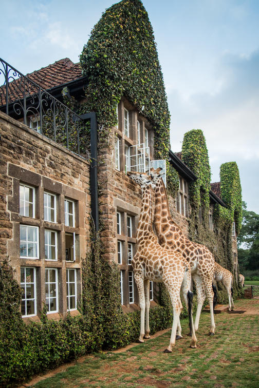 Giraffe Manor Kenya