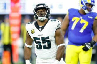 Brandon Graham Eagles pic