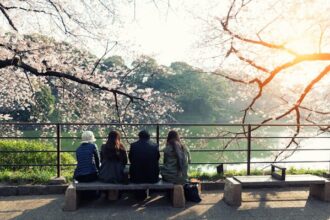 일본에서 벚꽃을 볼 수 있는 최고의 장소 5선